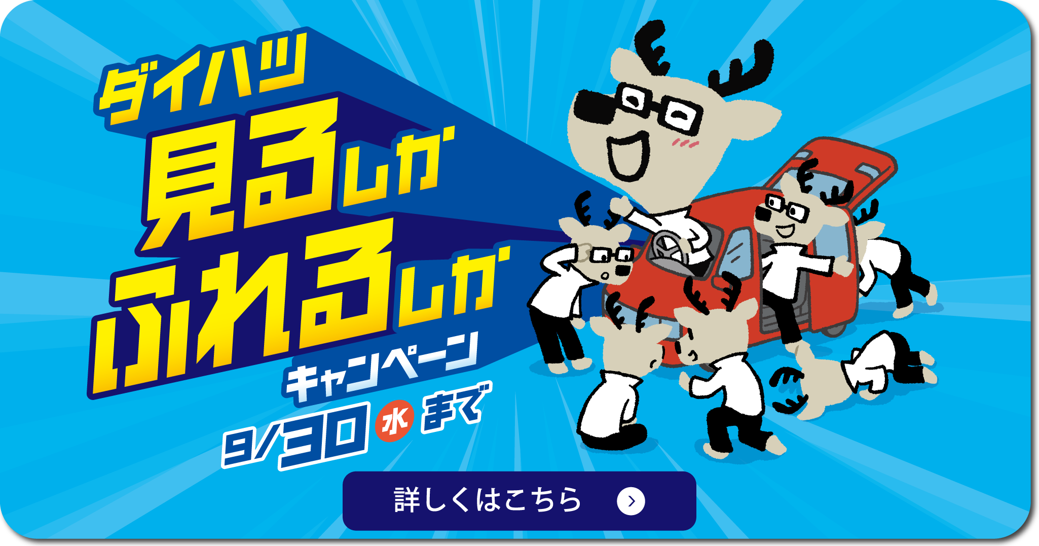 見るしかふれるしかキャンペーン
